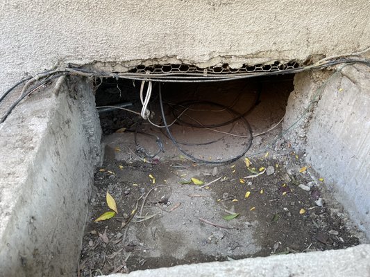 Rodent & Nuisance Wildlife Proofing - As part of our pest proofing programs it is sometimes required to think outside of the box and make substantial repairs to deteriorated or otherwise difficult areas often overlooked. Rodent & Nuisance Wildlife Proofing - As part of our pest proofing programs it is sometimes required to think outside of the box and make substantial repairs to deteriorated or otherwise difficult areas often overlooked.