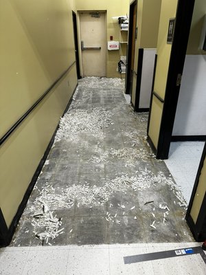 VCT tile removal. With polish. - This remodel was done at a Petsmart located in red deer Alberta. The VCT tile was old and rusted with bacteria buildup. The original tile was replaced with a polished concrete and high sheen sealer. VCT tile removal. With polish. - This remodel was done at a Petsmart located in red deer Alberta. The VCT tile was old and rusted with bacteria buildup. The original tile was replaced with a polished concrete and high sheen sealer.