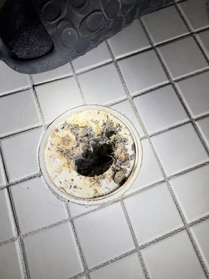 Clogged Shower Drain Cleaning - Customer was experiencing a clogged shower drain caused by a heavy buildup of hair and debris. We removed the blockage, thoroughly cleared the drain and restored proper drainage.
Slow or clogged drain? Give Plumbtastic Solutions a call before a small problem turns into a complete stoppage!
Before it gets drastic, think Plumbtastic! Clogged Shower Drain Cleaning - Customer was experiencing a clogged shower drain caused by a heavy buildup of hair and debris. We removed the blockage, thoroughly cleared the drain and restored proper drainage.
Slow or clogged drain? Give Plumbtastic Solutions a call before a small problem turns into a complete stoppage!
Before it gets drastic, think Plumbtastic!