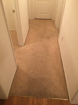House Carpet Cleaning - This is a general household carpet cleaning. Having your carpets steamed cleaned at least once per year increases the life of your carpet, helps reduce allergens in your home, and allows your home and carpets to look and feel cleaner, fresher, and much more well cared for. House Carpet Cleaning - This is a general household carpet cleaning. Having your carpets steamed cleaned at least once per year increases the life of your carpet, helps reduce allergens in your home, and allows your home and carpets to look and feel cleaner, fresher, and much more well cared for.