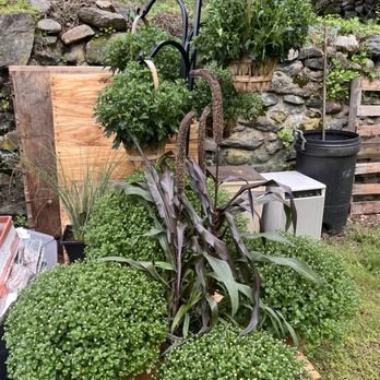 Exotic Outdoor Plants - Come see our exotic outdoor plant inventory
