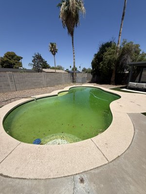 Green To Clean - Showed up in the pool was dark green. I assess the chemicals were unbalanced and the filter was in need of cleaning. After a couple visits, I was able to get the pull back to Crystal clear and blue. I cleaned the filter a couple of times as well as made sure that the chemical levels were balanced. Green To Clean - Showed up in the pool was dark green. I assess the chemicals were unbalanced and the filter was in need of cleaning. After a couple visits, I was able to get the pull back to Crystal clear and blue. I cleaned the filter a couple of times as well as made sure that the chemical levels were balanced.