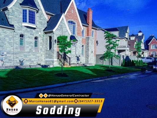 Sodding - Sidding Mansion