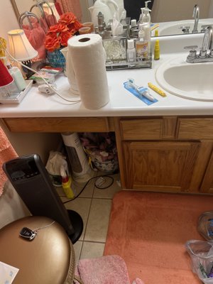 reoccurring deep clean - This customer received deep clean and organization, two bedroom two bathroom home