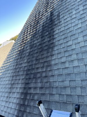 Gloeocapsa Magma removal! - Heavy build up of Gloeocapsa Magma bacteria on roof didn't stand a chance against our signature blend! Left the roof looking brand new!
