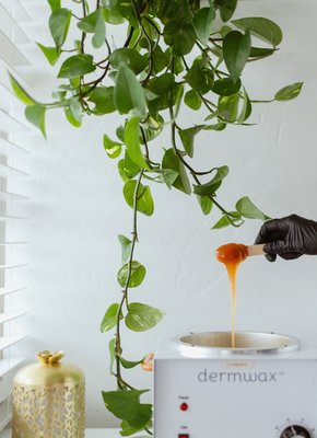 Licensed Esthetician with 15 years experience in speed waxing. I use all natural products that are gentle on skin. - Specializing in Full body waxing for men and women.