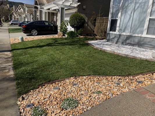 Front yard landscaping - Almaden valley San jose. Beautiful front yard upgrade! Small changes can really makes your yard stand out! Front yard landscaping - Almaden valley San jose. Beautiful front yard upgrade! Small changes can really makes your yard stand out!