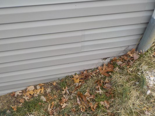 Poorly done addition - This observation is certainly the low hanging fruit but it speaks to the attention to detail used on this project. This is an invitation for moisture and insects to find their way into the home.
The faux stone installation should never be on top of any part of the vinyl siding or trim. This makes me wonder how the stone is secured to the home? There was no flashing at the base of this stone either. Poorly done addition - This observation is certainly the low hanging fruit but it speaks to the attention to detail used on this project. This is an invitation for moisture and insects to find their way into the home.
The faux stone installation should never be on top of any part of the vinyl siding or trim. This makes me wonder how the stone is secured to the home? There was no flashing at the base of this stone either.