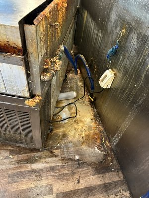 Commercial Kitchen deep cleaning - Deep cleaning a commercial kitchen/restaurant