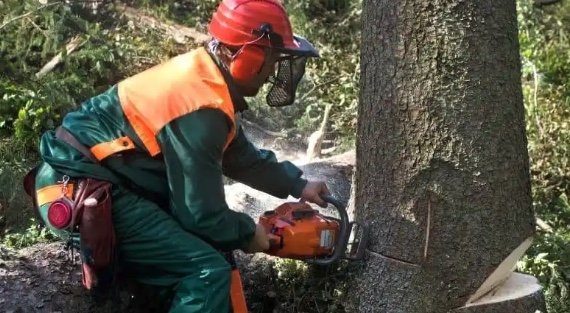 Emergency Tree Service - Trees are just as likely to be hazardous as they are to be beneficial. While it may seem odd that a fall or other damage to a tree can be hazardous, it does happen. Whether it’s a fallen tree on your property or an uprooted tree that’s blocking the road, Albert’s Tree Service keeps customers safe by removing fallen or damaged trees from their properties in a safe and timely manner.
At all times, we are ready to perform whatever service may be needed. Every day and every night, we’re on the job for you. Whether you have a tree that has fallen on your property or need to remove one from your yard, we can help throughout the entire process.
The reasons your tree becomes a safety hazard are:
1. Damaged tree
2. Need to trim branches years after they were put up (this can cause mold)
3. Need to find a place to store your tree
4. Security concerns because of the height & weight of the tree
5. Allergies and respiratory issues from the sap
6. The tree being hit by cars/trucks or falling onto a person’s roof or house
While most businesses keep regular business hours, it is foolish to assume that those are the only times you might need service. If a tree lands on your house in the middle of the night, for example, you will likely need emergency tree service to pick up, prune or trim your tree. Holcomb Tree Service offers 24/7 service for trees that may be dangerous or vulnerable.
For more information, please reach out to us at (214) 815 8048 and arrange a free estimate, or contact us online to emergency tree care in Dallas TX! Emergency Tree Service - Trees are just as likely to be hazardous as they are to be beneficial. While it may seem odd that a fall or other damage to a tree can be hazardous, it does happen. Whether it’s a fallen tree on your property or an uprooted tree that’s blocking the road, Albert’s Tree Service keeps customers safe by removing fallen or damaged trees from their properties in a safe and timely manner.
At all times, we are ready to perform whatever service may be needed. Every day and every night, we’re on the job for you. Whether you have a tree that has fallen on your property or need to remove one from your yard, we can help throughout the entire process.
The reasons your tree becomes a safety hazard are:
1. Damaged tree
2. Need to trim branches years after they were put up (this can cause mold)
3. Need to find a place to store your tree
4. Security concerns because of the height & weight of the tree
5. Allergies and respiratory issues from the sap
6. The tree being hit by cars/trucks or falling onto a person’s roof or house
While most businesses keep regular business hours, it is foolish to assume that those are the only times you might need service. If a tree lands on your house in the middle of the night, for example, you will likely need emergency tree service to pick up, prune or trim your tree. Holcomb Tree Service offers 24/7 service for trees that may be dangerous or vulnerable.
For more information, please reach out to us at (214) 815 8048 and arrange a free estimate, or contact us online to emergency tree care in Dallas TX!