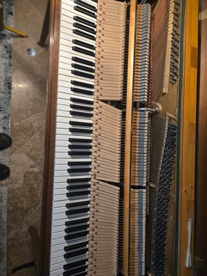 Piano Interior Deep Cleaning - A piano can collect surprising amounts of dust, pet hair, and debris over time. This upright piano received a complete interior cleaning, including the action cavity, soundboard area, strings, and cabinet interior.
Regular cleaning helps preserve the piano's mechanical and acoustic components and is recommended as part of long-term piano care. Piano Interior Deep Cleaning - A piano can collect surprising amounts of dust, pet hair, and debris over time. This upright piano received a complete interior cleaning, including the action cavity, soundboard area, strings, and cabinet interior.
Regular cleaning helps preserve the piano's mechanical and acoustic components and is recommended as part of long-term piano care.