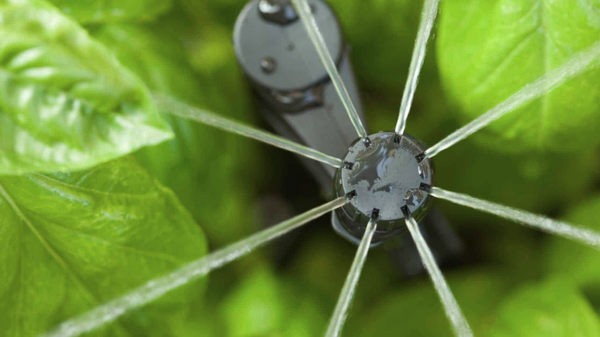 Sprinkler Systems - Our irrigation technicians are trained to make fast and efficient repairs to existing sprinkler and drip systems. From repairing leaks, to replacing valves, and setting timers for efficient watering, our techs are able to diagnose and fix issues within existing irrigation systems to quickly get them functioning properly again. If you are experienced a high water bill, are seeing leaks in your yard or have plants dying, it is imperative to have an experienced irrigation contractor like Pennygreen Sprinklers
come assess and fix your irrigation system. Sprinkler Systems - Our irrigation technicians are trained to make fast and efficient repairs to existing sprinkler and drip systems. From repairing leaks, to replacing valves, and setting timers for efficient watering, our techs are able to diagnose and fix issues within existing irrigation systems to quickly get them functioning properly again. If you are experienced a high water bill, are seeing leaks in your yard or have plants dying, it is imperative to have an experienced irrigation contractor like Pennygreen Sprinklers
come assess and fix your irrigation system.