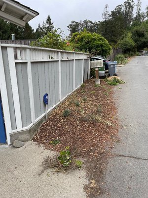YARD CLEAN UP - David called because I have a problem with his drip irrigation and at the same time we did his yard cleand up. David was very happy with the work after finishing it.