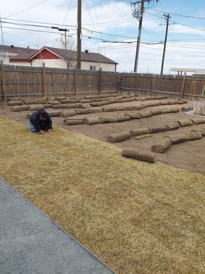 New Lawn & Firepit/Patio Makeover - New Lawn & Firepit/Patio Makeover New Lawn & Firepit/Patio Makeover - New Lawn & Firepit/Patio Makeover