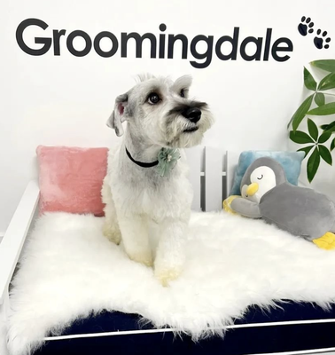 Recently Groomed Dogs - Recently Groomed Dogs Recently Groomed Dogs - Recently Groomed Dogs