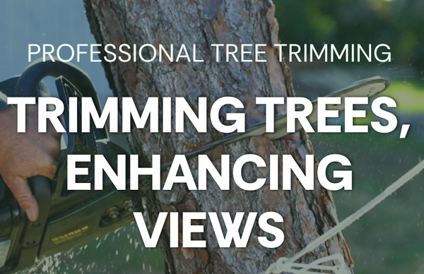 Tree Removal and Trimming - *Tree Removal and Trimming in Houston*
At M&J Tree Professionals, we elevate Houston’s outdoors through masterful tree trimming and removal services, tailored to refine your property’s beauty and safety. Whether you’re a homeowner seeking a pristine yard or a business aiming for a polished presence, our expert arborists deliver solutions that blend artistry with functionality. From tree trimming in Houston, Texas, to complete tree removal across the city, we shape landscapes that stand out and stand strong.
Why Invest in Professional
*Tree Trimming and Removal ? *
Trees are the backbone of any landscape, but when overgrown or compromised, they can dim your property’s potential. Our Houston tree trimming and removal services unlock a world of benefits:
Unrivaled Safety: We eliminate hazardous branches and unstable trees, protecting your home, business, or passersby from storm-season risks.
Refined Elegance: Precision trimming enhances tree structure and curb appeal, while removal clears space for new possibilities.
Healthier Growth: Our cuts promote vigor and longevity, tailored to Houston’s climate and native species.
Storm-Ready Resilience: Regular care reduces wind damage risks—a must in Houston’s unpredictable weather.
Expert Execution: With advanced tools and certified skill, we ensure every job is seamless, safe, and sustainable.
residential & commercial
tree trim & removal
At M&J Tree Professionals, our tree trimming and removal services in Houston, Texas, perfect residential havens and elevate commercial presence alike, delivering tailored beauty and safety for homeowners and businesses. For residents, we shape oaks in River Oaks, clear deadwood in the Heights, and remove overhanging limbs threatening Montrose homes, wrapping up most jobs in a day to leave your Midtown oasis refreshed and secure.
For Houston businesses, we provide a competitive edge with professional polish—trimming trees and clearing lots in Uptown Houston or the Energy Corridor, mitigating risks near Downtown offices, and scaling solutions from single trims in the Galleria to full removals in the Medical Center—ensuring your property reflects quality and care, no matter the scope.
Enhanced Safety and Risk Prevention: Our expert tree trimming eliminates dangerous overhanging branches and weak limbs, safeguarding your Houston property from storm damage or unexpected hazards.
Elevated Property Aesthetics: Precision tree trimming transforms your landscape into a work of art, boosting curb appeal for Houston homeowners and businesses alike.
Optimized Tree Health and Longevity: With certified arborists and advanced techniques, we trim to promote vigorous growth and resilience, ensuring your trees thrive in Houston’s humid, storm-prone climate. This means healthier, longer-lasting trees
Fast, Efficient Service with Lasting Impact: We deliver swift, flawless tree trimming—often completed in a day—minimizing disruption while maximizing results for your Houston property. Tree Removal and Trimming - *Tree Removal and Trimming in Houston*
At M&J Tree Professionals, we elevate Houston’s outdoors through masterful tree trimming and removal services, tailored to refine your property’s beauty and safety. Whether you’re a homeowner seeking a pristine yard or a business aiming for a polished presence, our expert arborists deliver solutions that blend artistry with functionality. From tree trimming in Houston, Texas, to complete tree removal across the city, we shape landscapes that stand out and stand strong.
Why Invest in Professional
*Tree Trimming and Removal ? *
Trees are the backbone of any landscape, but when overgrown or compromised, they can dim your property’s potential. Our Houston tree trimming and removal services unlock a world of benefits:
Unrivaled Safety: We eliminate hazardous branches and unstable trees, protecting your home, business, or passersby from storm-season risks.
Refined Elegance: Precision trimming enhances tree structure and curb appeal, while removal clears space for new possibilities.
Healthier Growth: Our cuts promote vigor and longevity, tailored to Houston’s climate and native species.
Storm-Ready Resilience: Regular care reduces wind damage risks—a must in Houston’s unpredictable weather.
Expert Execution: With advanced tools and certified skill, we ensure every job is seamless, safe, and sustainable.
residential & commercial
tree trim & removal
At M&J Tree Professionals, our tree trimming and removal services in Houston, Texas, perfect residential havens and elevate commercial presence alike, delivering tailored beauty and safety for homeowners and businesses. For residents, we shape oaks in River Oaks, clear deadwood in the Heights, and remove overhanging limbs threatening Montrose homes, wrapping up most jobs in a day to leave your Midtown oasis refreshed and secure.
For Houston businesses, we provide a competitive edge with professional polish—trimming trees and clearing lots in Uptown Houston or the Energy Corridor, mitigating risks near Downtown offices, and scaling solutions from single trims in the Galleria to full removals in the Medical Center—ensuring your property reflects quality and care, no matter the scope.
Enhanced Safety and Risk Prevention: Our expert tree trimming eliminates dangerous overhanging branches and weak limbs, safeguarding your Houston property from storm damage or unexpected hazards.
Elevated Property Aesthetics: Precision tree trimming transforms your landscape into a work of art, boosting curb appeal for Houston homeowners and businesses alike.
Optimized Tree Health and Longevity: With certified arborists and advanced techniques, we trim to promote vigorous growth and resilience, ensuring your trees thrive in Houston’s humid, storm-prone climate. This means healthier, longer-lasting trees
Fast, Efficient Service with Lasting Impact: We deliver swift, flawless tree trimming—often completed in a day—minimizing disruption while maximizing results for your Houston property.