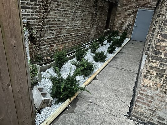 Side Yard Landscape Transformation in Chicago - An unused side yard was transformed into a clean, low-maintenance landscape bed. We cleared the area, prepared the bed, installed edging, added decorative white stone, and planted evergreen shrubs for year-round curb appeal. The result is a cleaner, more organized space that requires minimal upkeep while adding visual interest to the property.
What we did:
• Site cleanup and preparation
• Landscape bed installation
• Edging installation
• Decorative white stone installation
• Evergreen shrub planting
Urich Services LLC
Landscaping, planting, mulch, edging, cleanups, sod, turf, pavers & more in Chicago. 🌿 Side Yard Landscape Transformation in Chicago - An unused side yard was transformed into a clean, low-maintenance landscape bed. We cleared the area, prepared the bed, installed edging, added decorative white stone, and planted evergreen shrubs for year-round curb appeal. The result is a cleaner, more organized space that requires minimal upkeep while adding visual interest to the property.
What we did:
• Site cleanup and preparation
• Landscape bed installation
• Edging installation
• Decorative white stone installation
• Evergreen shrub planting
Urich Services LLC
Landscaping, planting, mulch, edging, cleanups, sod, turf, pavers & more in Chicago. 🌿