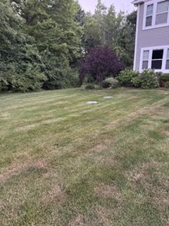 Waiting to Move In - This customer is moving here from another state and only needs the yard kept up for 2-3 weeks until he's settled in and gets his own equipment. Glad we could be of service. Heading out today to finish 1st cut. Ran out of daylight the other day and when my customer comes back to town I want his place looking tight and I'm timing it so I get one more or maybe 2 more cuts before he arrives.