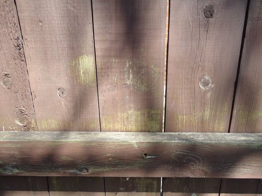 Outside Projects - Do you have exterior area's that need some updating? Let us give you a fresh look with some new paint or stain!  Just a couple examples here!
