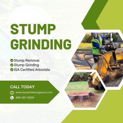 Stump Grinding - Stumps left after a tree has been removed often need to be removed. They can be frustrating eyesores, especially if they are attached to any running roots stretching throughout your landscape. Stump removal also reduces insect activity, mitigates new and unwanted growth, and provides room for future landscaping. Any excess mulch can be used in surrounding landscaping, or if you’d prefer we can haul it away for an additional fee. Some stumps may be located in areas that make stump grinding impossible, if that is the case, our Certified Arborists can go over alternative methods of removal. Stump Grinding - Stumps left after a tree has been removed often need to be removed. They can be frustrating eyesores, especially if they are attached to any running roots stretching throughout your landscape. Stump removal also reduces insect activity, mitigates new and unwanted growth, and provides room for future landscaping. Any excess mulch can be used in surrounding landscaping, or if you’d prefer we can haul it away for an additional fee. Some stumps may be located in areas that make stump grinding impossible, if that is the case, our Certified Arborists can go over alternative methods of removal.