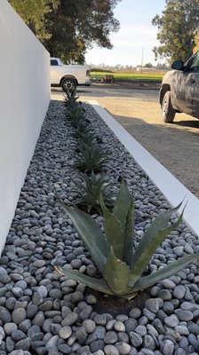 Planter Work - Client wanted to add rocks in their planter Planter Work - Client wanted to add rocks in their planter