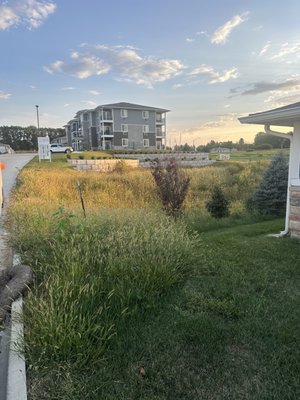2024 Retention Pond Cleanup - Full cleanup service of retention pond 2024 Retention Pond Cleanup - Full cleanup service of retention pond