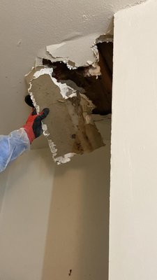 Mold Remediation Project - Don’t let mold spread — protect your home today.
Schedule your inspection and let our certified team take care of it before it becomes a bigger problem. Mold Remediation Project - Don’t let mold spread — protect your home today.
Schedule your inspection and let our certified team take care of it before it becomes a bigger problem.