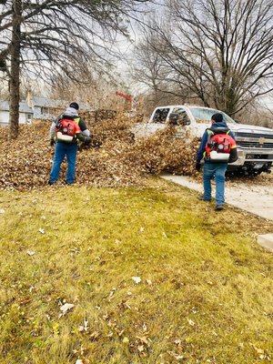 Fall Clean Up - This how we work after we get all the job done we take all leaves to the compost site! We guarantee a good and fast job! Fall Clean Up - This how we work after we get all the job done we take all leaves to the compost site! We guarantee a good and fast job!
