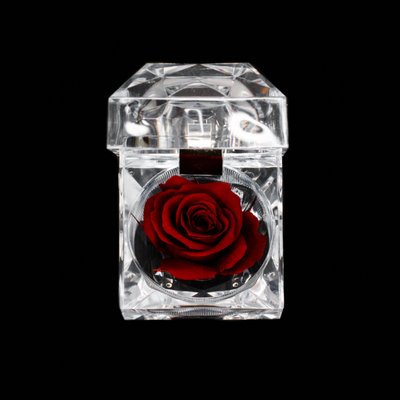 Preserved Rose Jewel Box - Preserved Micro-Rose Made to Last 1 Year! No Water Required & Keep Indoors.
DIM: 4.5 cm X 4.5 cm x 4.5 cm Preserved Rose Jewel Box - Preserved Micro-Rose Made to Last 1 Year! No Water Required & Keep Indoors.
DIM: 4.5 cm X 4.5 cm x 4.5 cm