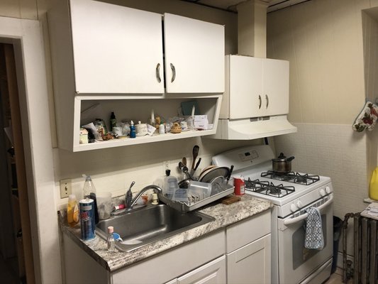 Two Bedroom Apartment Remodel - This apartment was on the smaller side - we were able to make the small space feel much bigger.