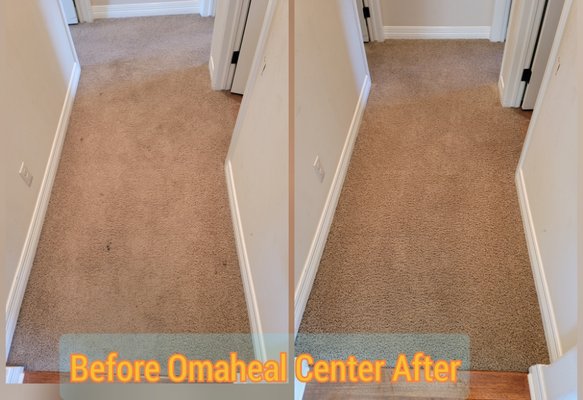 Carpet Cleaning - Natural Solutions to clean carpet like-new by soften the dirt by using low pH solution, break down protiens with Enzymes, vaporize dirt by encapsulation shampoo, hot water extraction removes the sand and dirty water, protection seals the carpet fibers making it easier to clean up accidents. Carpet Cleaning - Natural Solutions to clean carpet like-new by soften the dirt by using low pH solution, break down protiens with Enzymes, vaporize dirt by encapsulation shampoo, hot water extraction removes the sand and dirty water, protection seals the carpet fibers making it easier to clean up accidents.