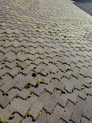 Roof Moss Removal - This roof had lots of pin needle debris and moss build up when we arrived. So we gently removed the moss and cleaned out gutters as well finish of by adding treatment Roof Moss Removal - This roof had lots of pin needle debris and moss build up when we arrived. So we gently removed the moss and cleaned out gutters as well finish of by adding treatment