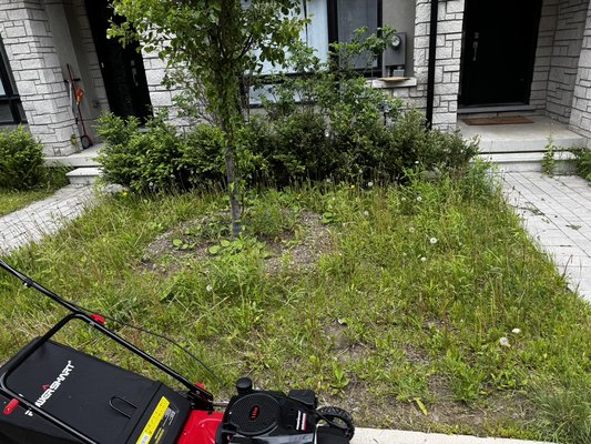 Lawn mowing, weed removal, fertilizing and seeding. - One of the customers had a garden with numerous bare patches and heavy weed growth. We began by thoroughly mowing the lawn to create an even base. After clearing out the weeds, we applied high-quality grass seed and nutrient-rich soil to promote growth in the patchy areas where grass had trouble growing. Once the seeding was complete, we applied a balanced fertilizer to encourage healthy, thick, and green grass. Over time, the lawn transformed into a much healthier and fuller yard, greatly improving its overall appearance and condition. Lawn mowing, weed removal, fertilizing and seeding. - One of the customers had a garden with numerous bare patches and heavy weed growth. We began by thoroughly mowing the lawn to create an even base. After clearing out the weeds, we applied high-quality grass seed and nutrient-rich soil to promote growth in the patchy areas where grass had trouble growing. Once the seeding was complete, we applied a balanced fertilizer to encourage healthy, thick, and green grass. Over time, the lawn transformed into a much healthier and fuller yard, greatly improving its overall appearance and condition.