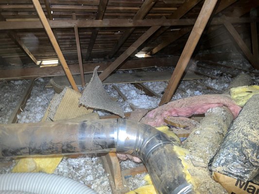 Insulation Removal ❄️ Out with the Old — Make Way for Better Insulation, San Jose! 💨 - Old or damaged insulation can cause higher energy bills, poor air quality, and uneven temps in your home. Our team provides safe, efficient insulation removal to prep your space for a cleaner, more energy-efficient upgrade! 🏠

We specialize in:
✅ Attic & crawl space insulation removal
✅ Rodent-damaged insulation cleanup
✅ Eco-friendly disposal
✅ Prep for new insulation installation

If your home’s insulation is past its prime — let’s replace it the right way! We’re proud to serve San Jose, Santa Clara, Sunnyvale, and surrounding areas with reliable, professional service.

📞 Contact us today for a free estimate and start saving on energy costs!

#InsulationRemoval #SanJoseInsulation #EnergyEfficiency #HomeComfort #AtticInsulation #CrawlSpaceCleaning #BayAreaHomes