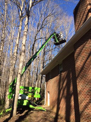 Aerial lift removals/pruning - Aerial lift removals/pruning Aerial lift removals/pruning - Aerial lift removals/pruning