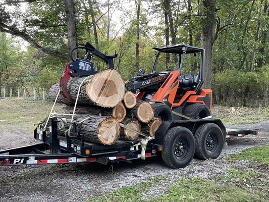 Oak removal - Removal of a large Oak next to our Customers home.