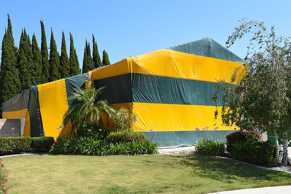 HOA Security - We did Fumigation for a week for 3 buildings in Ventura County HOA Security - We did Fumigation for a week for 3 buildings in Ventura County