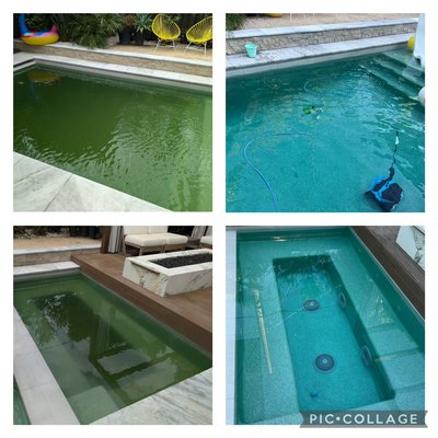 Green to clean starting at $495 - Green Too Clean
Starting From $495+
Few things are more frustrating than a green pool. If your pool is showing signs of turning or has recently gone green, contact us. We can restore your pool to a sparkling blue and clean state in just two to three visits! We guarantee our results!
What’s included in the service:
Algae Treatment for various types
Comprehensive Water Balancing
Multiple Visits for Full Pool Recovery
Optional Filter Cleanings as Required
Debris Vacuuming if Necessary
Equipment Re-programming and Scheduling for Optimal Functionality
Note: Properly sized and good working pool equipment is required Green to clean starting at $495 - Green Too Clean
Starting From $495+
Few things are more frustrating than a green pool. If your pool is showing signs of turning or has recently gone green, contact us. We can restore your pool to a sparkling blue and clean state in just two to three visits! We guarantee our results!
What’s included in the service:
Algae Treatment for various types
Comprehensive Water Balancing
Multiple Visits for Full Pool Recovery
Optional Filter Cleanings as Required
Debris Vacuuming if Necessary
Equipment Re-programming and Scheduling for Optimal Functionality
Note: Properly sized and good working pool equipment is required