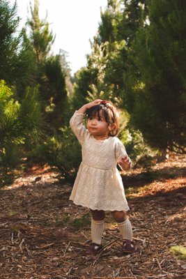 Mini Session 2020 - Family Mini session @ Patchen Ranchero Christmas tree farm in Los Gatos