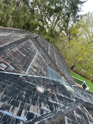 Cedar Shake Replacement - Out with the old and in with the new! Last week we were able to get this old cedar shake torn off and replaced with a brand new IKO Dynasty roofing system. Some of the roof already had existing sheathing and some did not. Part of every roofing project is the unknown and how we respond to it. Ideal Roofing prides itself in communication and we're happy we could keep the customer up to date and allow them to know what is happening throughout the entire project. Customers receive up to date photos through an app and have access to the entire library at the end of the job! There is usually anywhere between 100-300 photos of your roofing project throughout the entire process, providing you the peace of mind and allowing you to do your own roof inspection without ever having to step foot on your roof! Cedar Shake Replacement - Out with the old and in with the new! Last week we were able to get this old cedar shake torn off and replaced with a brand new IKO Dynasty roofing system. Some of the roof already had existing sheathing and some did not. Part of every roofing project is the unknown and how we respond to it. Ideal Roofing prides itself in communication and we're happy we could keep the customer up to date and allow them to know what is happening throughout the entire project. Customers receive up to date photos through an app and have access to the entire library at the end of the job! There is usually anywhere between 100-300 photos of your roofing project throughout the entire process, providing you the peace of mind and allowing you to do your own roof inspection without ever having to step foot on your roof!