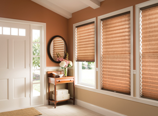 Pleated Shades - Designed for the tastemakers and connoisseurs, our all-new collection of Pleated Shades feature only the most fashionable fabrics. Their crisp folds and fashion-inspired looks give your space truly sophisticated style. Pleated Shades - Designed for the tastemakers and connoisseurs, our all-new collection of Pleated Shades feature only the most fashionable fabrics. Their crisp folds and fashion-inspired looks give your space truly sophisticated style.