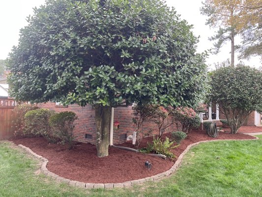 Landscape Renovation. - We completely renovated the landscape on this property and brought it back to life by doing a major clean up and installing new fresh mulch. Landscape Renovation. - We completely renovated the landscape on this property and brought it back to life by doing a major clean up and installing new fresh mulch.