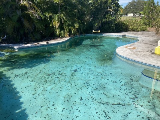 Before & After Pool Cleaning - This is the difference between Amateur Pool Care and Professional Pool Care. We do the work every week Rain or Shine. Before & After Pool Cleaning - This is the difference between Amateur Pool Care and Professional Pool Care. We do the work every week Rain or Shine.