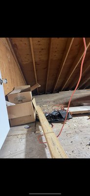Attic Services￼ - Cleaning and sanitizing of attic space￼