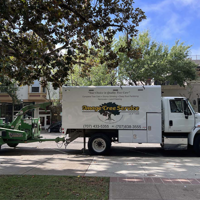 4.9 / 126 Reviews on Google! - At Image Tree Pros, our team is committed to providing high-quality tree service in Sonoma, CA and beyond. From pruning to removal, our professional arborists are passionate about enhancing the health and beauty of your trees. That’s why we offer expert tree care in Northern California.

With over two decades of industry-leading experience, our tree care experts can help you transform your yard, commercial property, or public space into a thriving environment that brings out the natural beauty of your trees. From young saplings to century-old giants, our top-rated arborists have extensive knowledge to care for a wide variety of species.

When you work with us, you’ll benefit from our upfront pricing, unmatched professionalism, and outstanding service. We use sustainable methods to bring out the beauty of your natural environment while ensuring the health, safety, and longevity of your trees. With our comprehensive tree care, you’ll enjoy peace of mind knowing that your trees are in capable, caring hands.