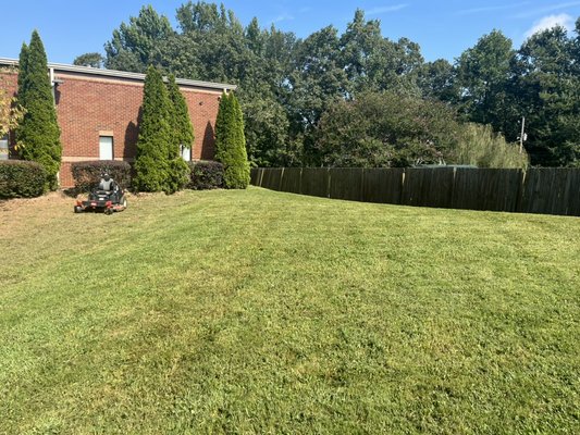 Overgrown grass, Edges and Fence Cleanup - We performed extensive yard maintenance, including cutting the overgrown grass by approximately 2 feet, edging the lawn, removing fence weeds, trimming bushes, and ensuring a clean, debris-free appearance.
