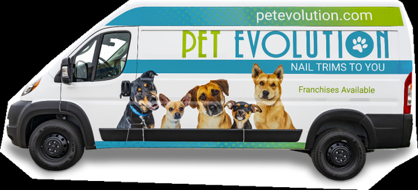 Mobile Nail Trim - Nail trims are a vital aspect of pet grooming, yet some cats and dogs face challenges with the process. If cutting your pet’s nails causes stress for both of you, there’s a better way. Pet Evolution’s mobile nail trim service provides a simpler approach to trimming your cat’s or dog’s nails. Discover this service and book your appointment today. Mobile Nail Trim - Nail trims are a vital aspect of pet grooming, yet some cats and dogs face challenges with the process. If cutting your pet’s nails causes stress for both of you, there’s a better way. Pet Evolution’s mobile nail trim service provides a simpler approach to trimming your cat’s or dog’s nails. Discover this service and book your appointment today.
