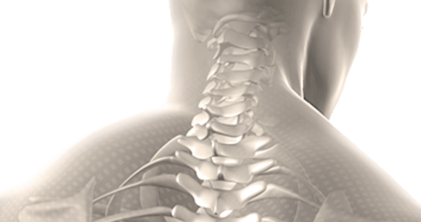 Chiropractor Wellness Therapy - Our goal is to make the world a healthier, happier place one person at a time by
educating our patients/ clients in matters of health and wellness and providing our community
with the highest quality chiropractic care available in the spirit of loving, giving, and serving.
We hope you'll find some of the tools and resources on our site helpful in this endeavor! Chiropractor Wellness Therapy - Our goal is to make the world a healthier, happier place one person at a time by
educating our patients/ clients in matters of health and wellness and providing our community
with the highest quality chiropractic care available in the spirit of loving, giving, and serving.
We hope you'll find some of the tools and resources on our site helpful in this endeavor!