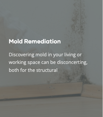 24/7 Effective and Safe Mold Remediation - A systematic methodology, specialized equipment, and technical skills are necessary for an effective mold remediation service. During the cleanup procedure, our experts at B&B Restoration use cutting-edge methods, including air filtration devices and negative air pressure systems, to guarantee the elimination of mold spores from the air.

Our mold remediation professionals are ready to provide you with thorough and efficient solutions whenever you observe mold development in your residential or commercial structure that is gravely compromising the building’s structural integrity and health. Our experienced and professional team begins the mold remediation process with a thorough and precise inspection. They will determine the severity of mold growth, assess the affected areas, and determine the underlying causes using appropriate tools and modern equipment. This detailed assessment allows us to create a customized recovery plan tailored to your specific situation.
