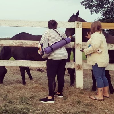 Outdoor Yoga - Get outside and get connected! Goat Yoga, Park Yoga, SUP Yoga, Yoga at the Horse Shelter and more! Outdoor Yoga - Get outside and get connected! Goat Yoga, Park Yoga, SUP Yoga, Yoga at the Horse Shelter and more!